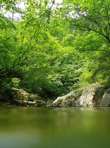 いつも以上に六甲山がとてもキレイに感じました。